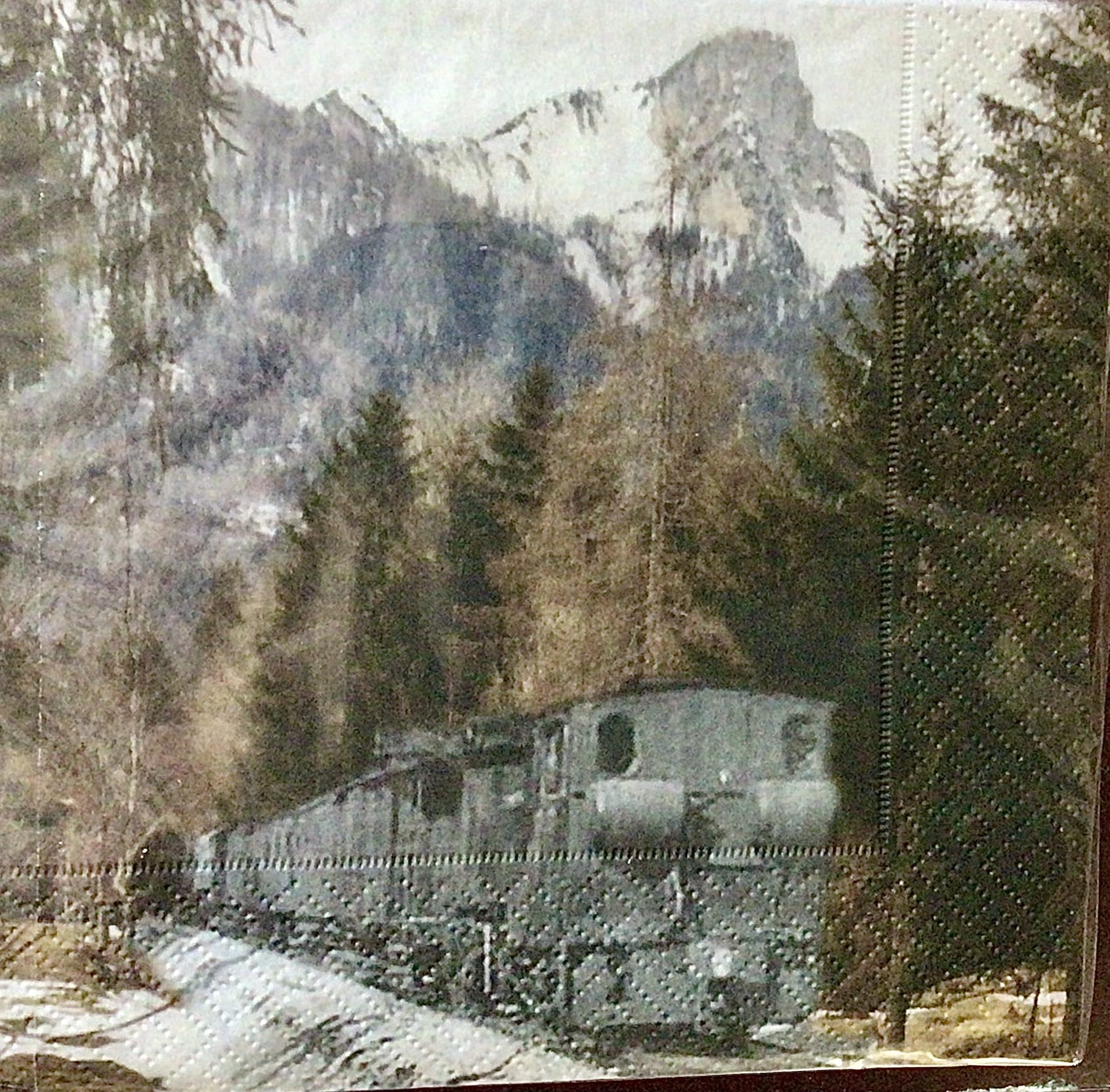 Waldbahn-Ruhpolding Wanderung
