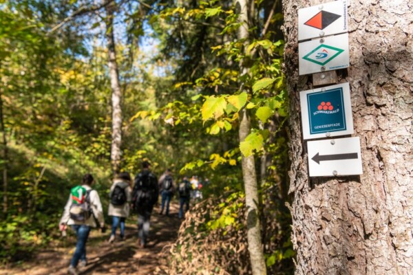 Geführte Wanderung Sauschwänzlebahn