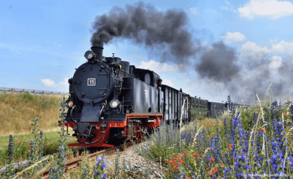 5 x spannende Fahrten mit historischen Zügen am Tag der Schiene
